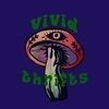 vividthrifts__